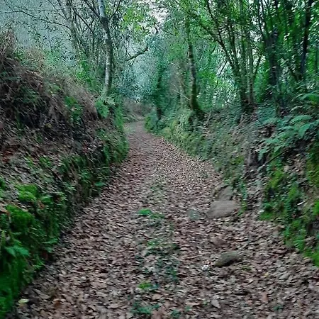 Tatil Evi Casa Da Fonte - Naturaleza Y Confort *